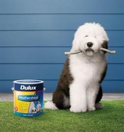 IMG 7633 | Darren Turner Painting Services Servicing Brisbane Southside and Bayside